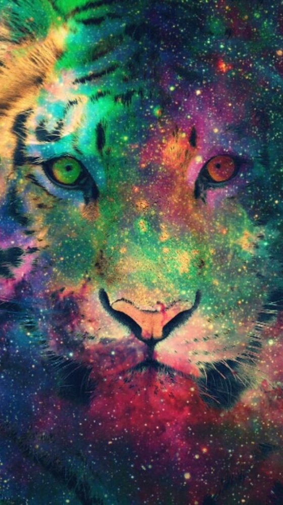 How well do you know Anna