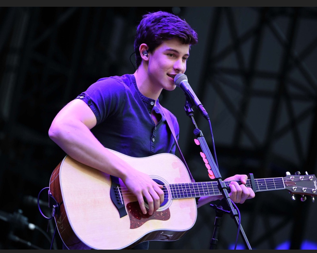 Shawn Mendez quiz!