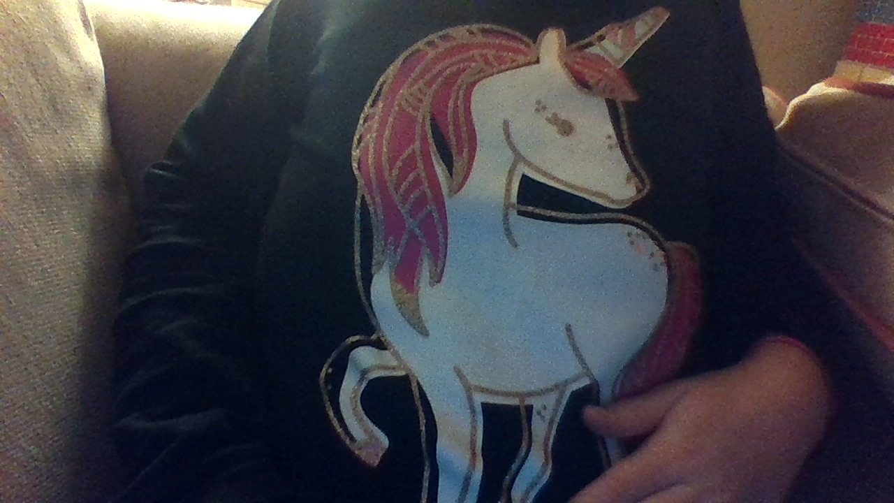 are you a unicorn quiz