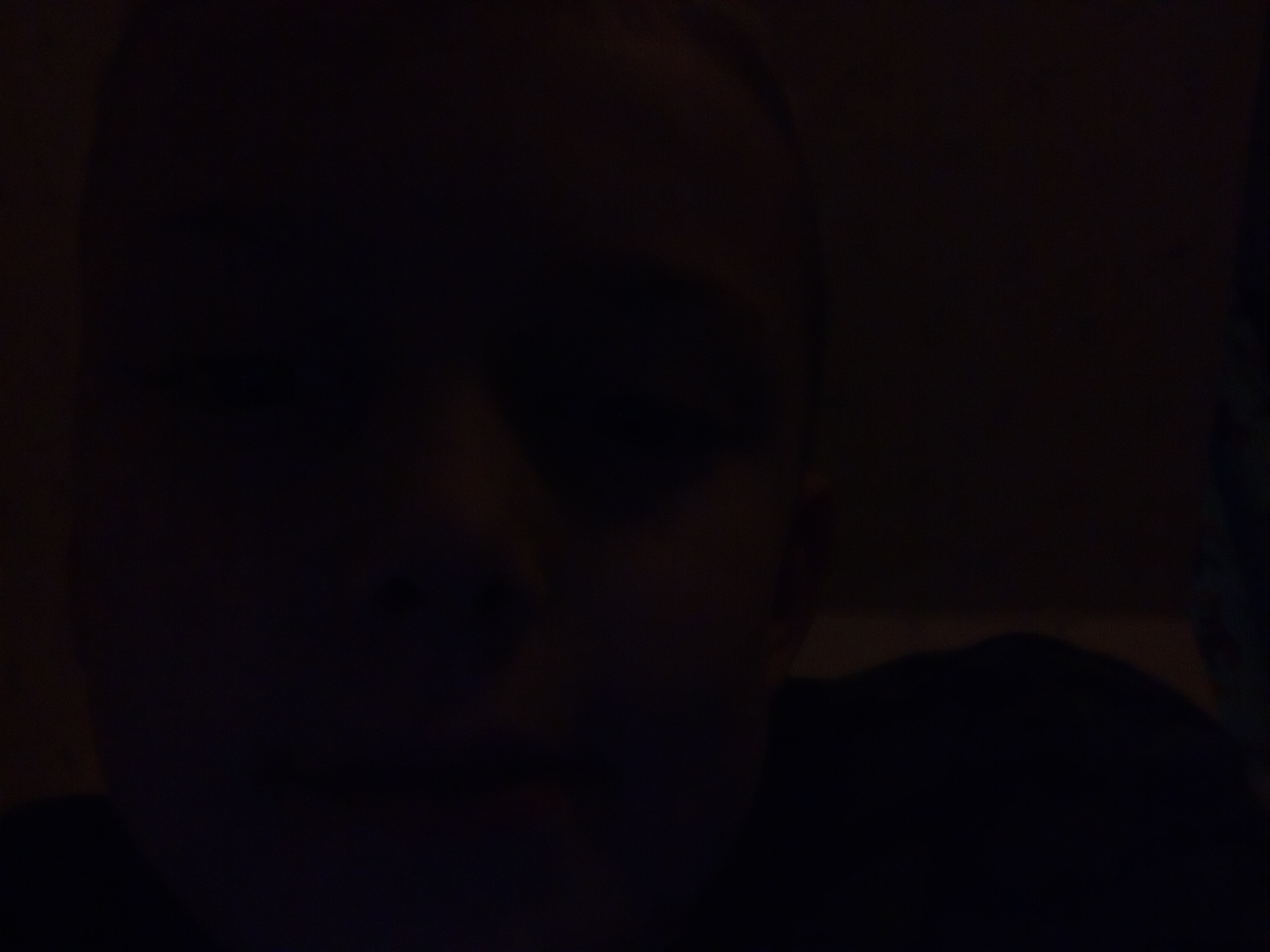 Rickard Holmqvist quiz