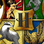 Which hogwarts house are you in???