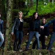 twilight  saga cullens 