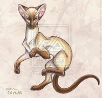 cat lover ?
