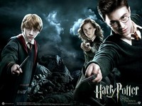 Hur mycket Harry Potter är du?