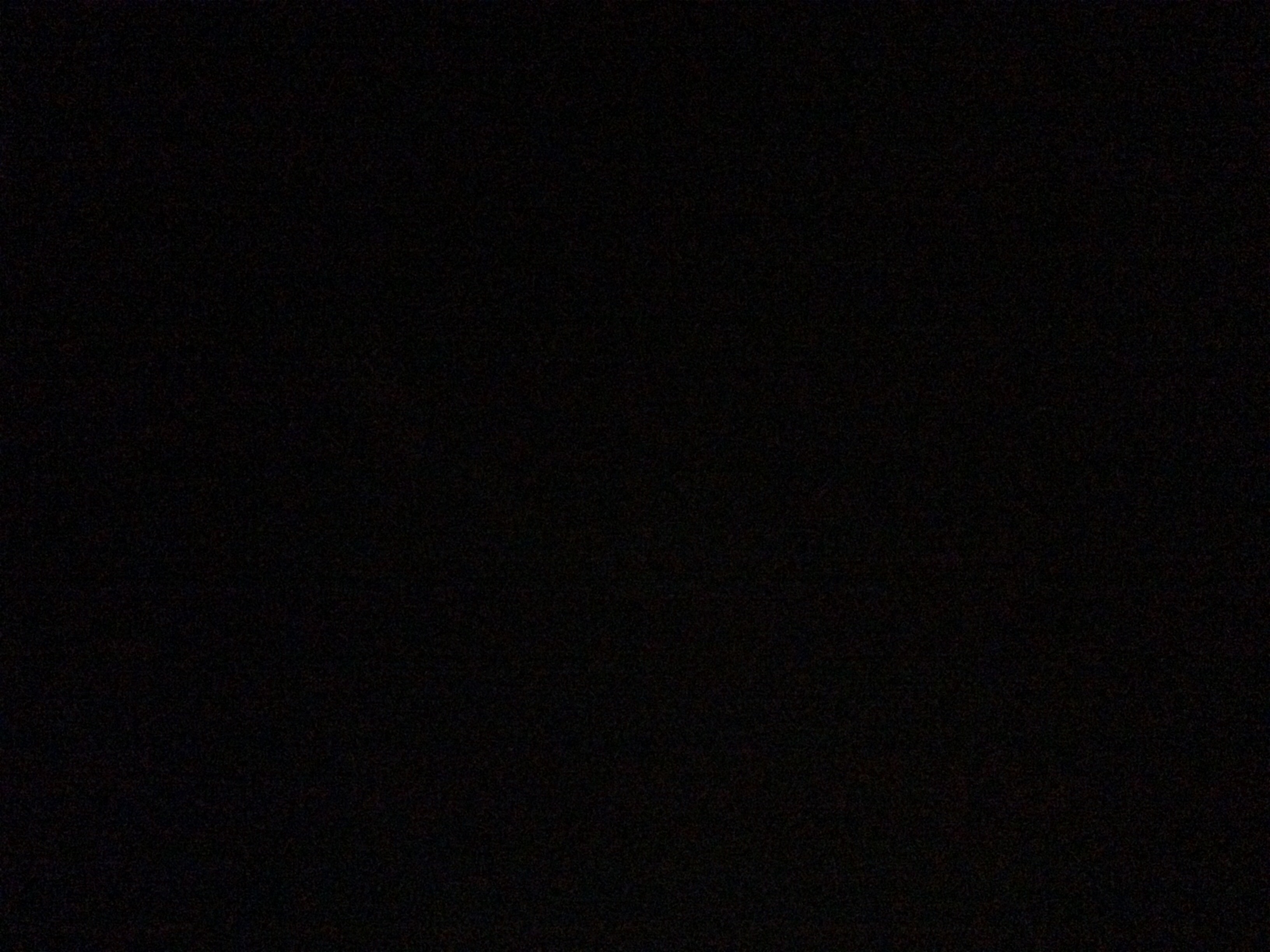Vilket gosedjur är du??