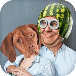 iq test