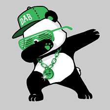 all about kozmo