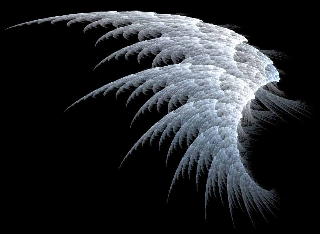 What kind of wings do you have