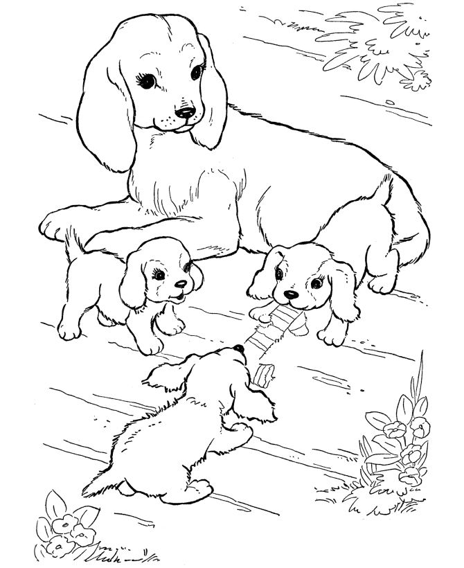 Know Your animal Better!!!!