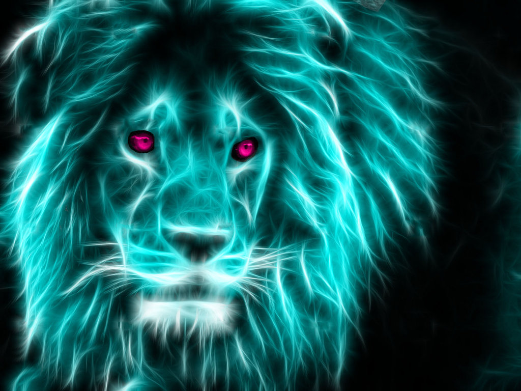 are you a tiger or lion?