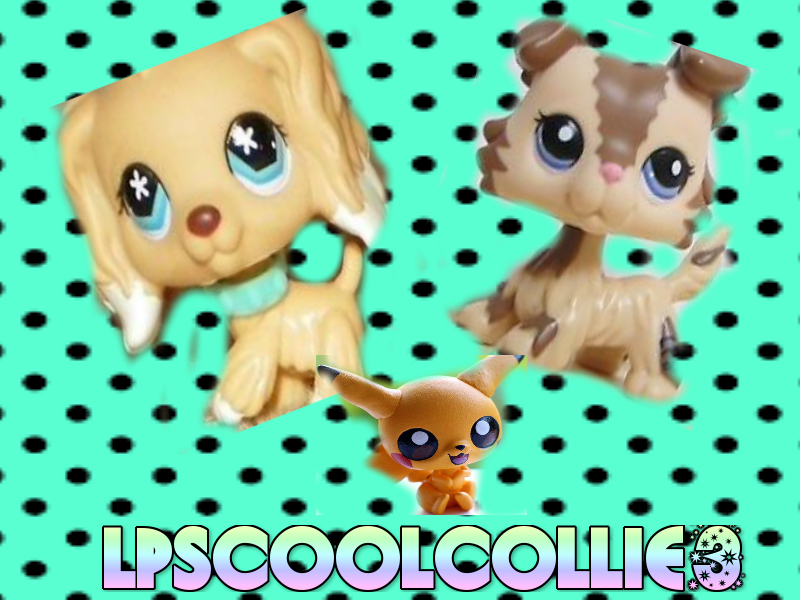 What Lps Tuber are you?