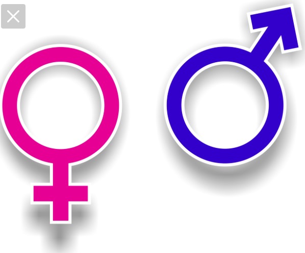 What  gender are you?