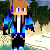 The EnderBlaze Quiz!