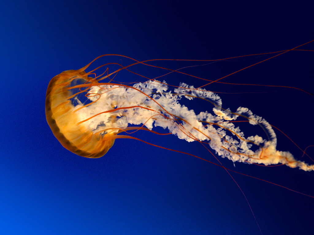 Wayne's Personal Quiz