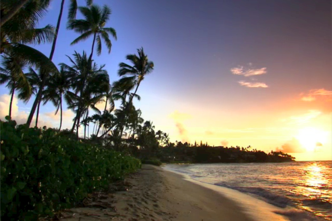 whats your paradise 
