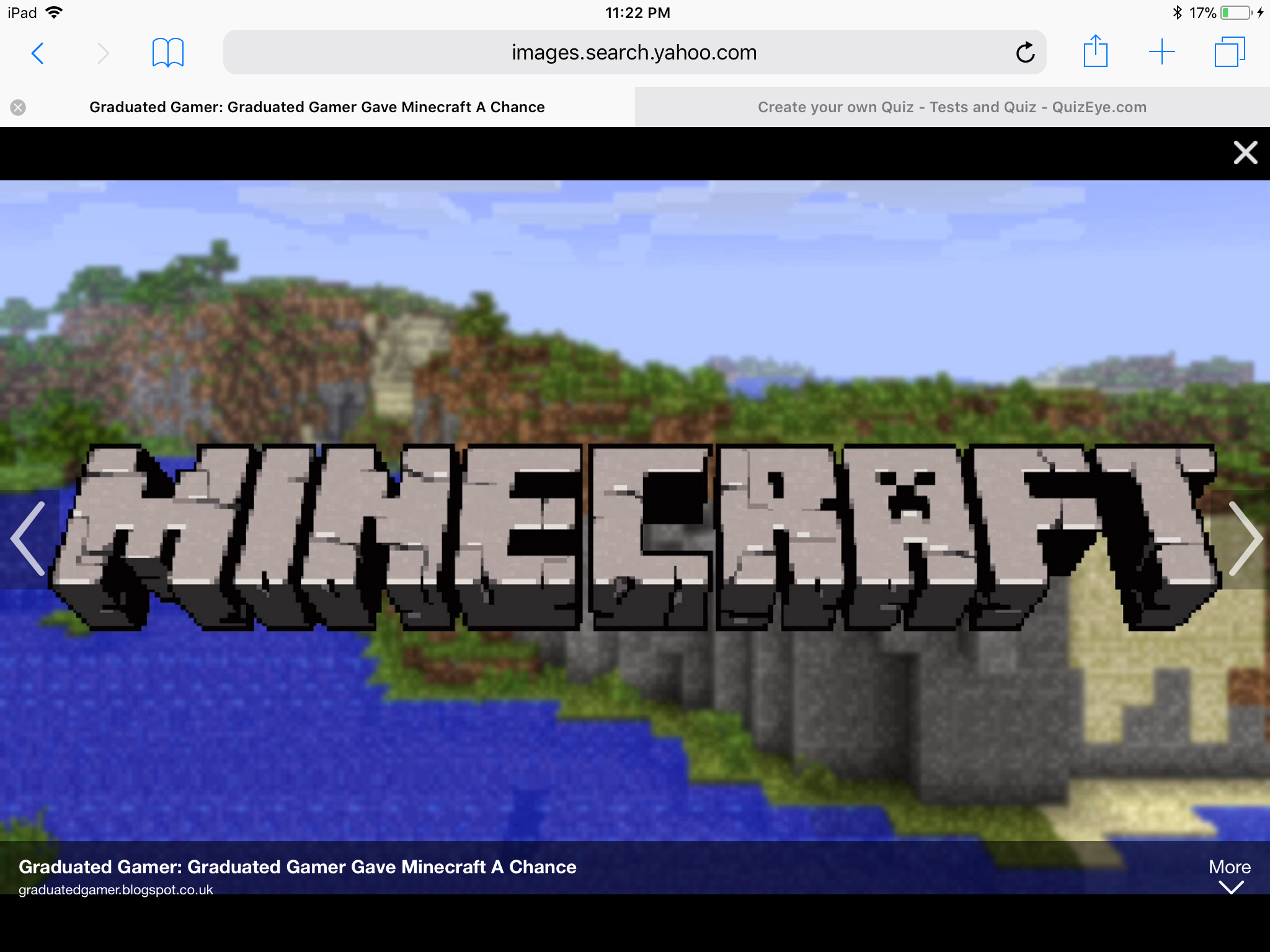Minecraft life quiz