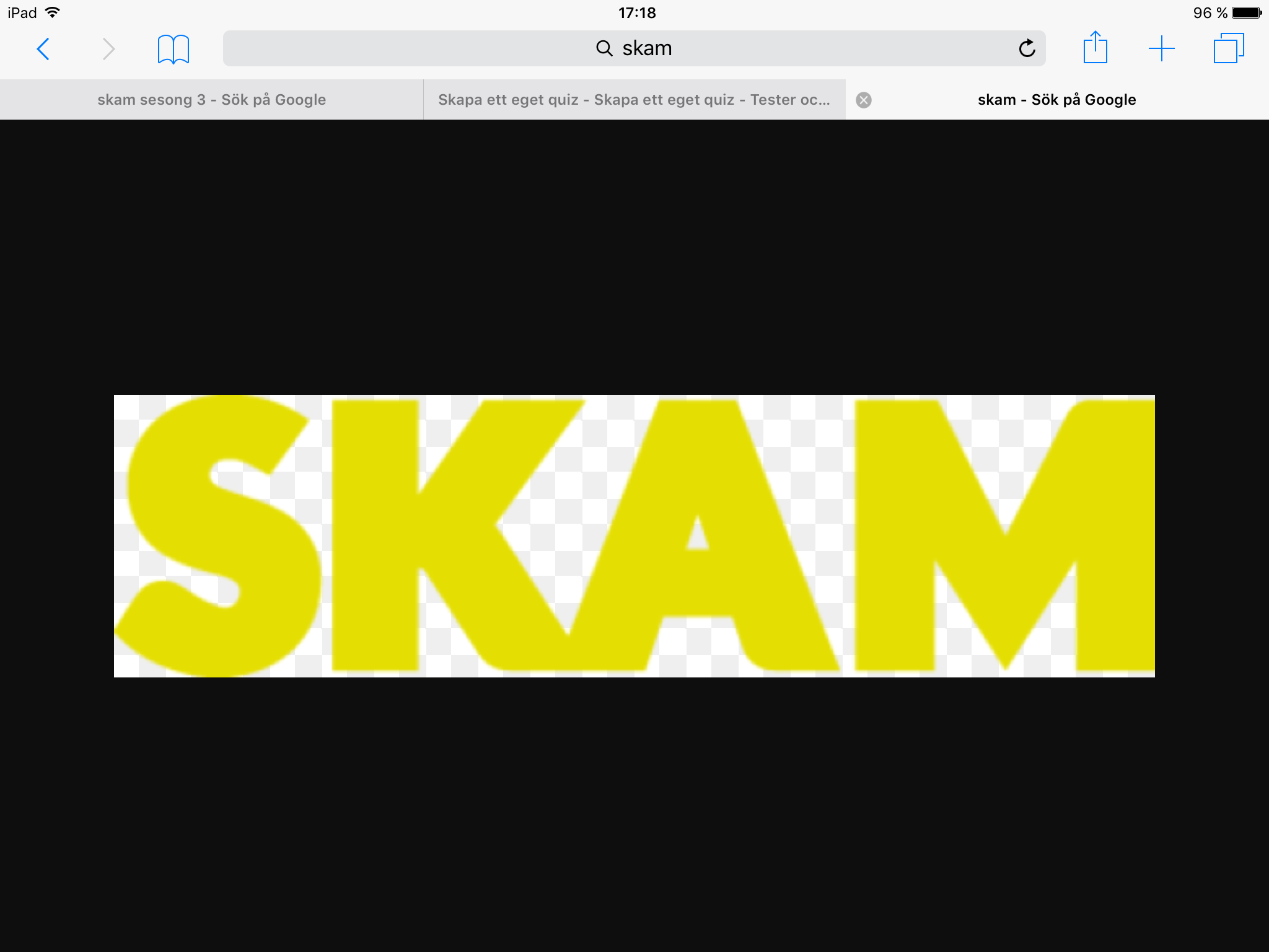 Vad kan du om serien SKAM
