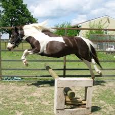 How well do you think you ride?