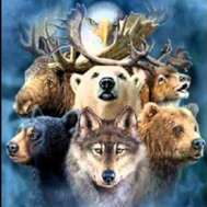What is your spirit animal