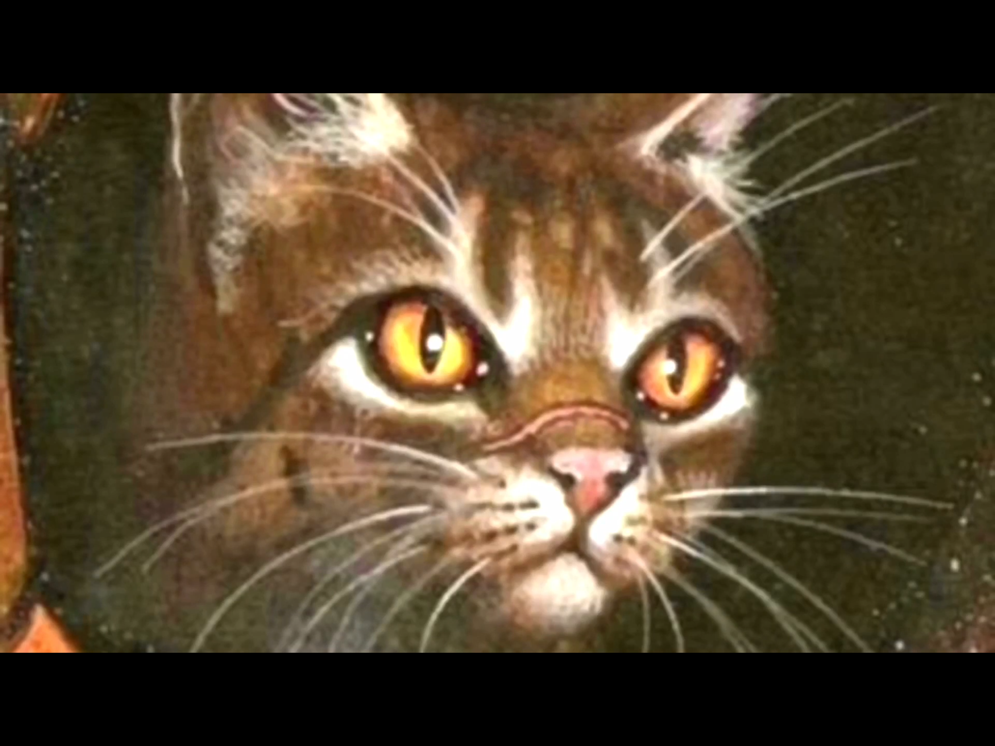 Warrior cats the prophecies begin quiz