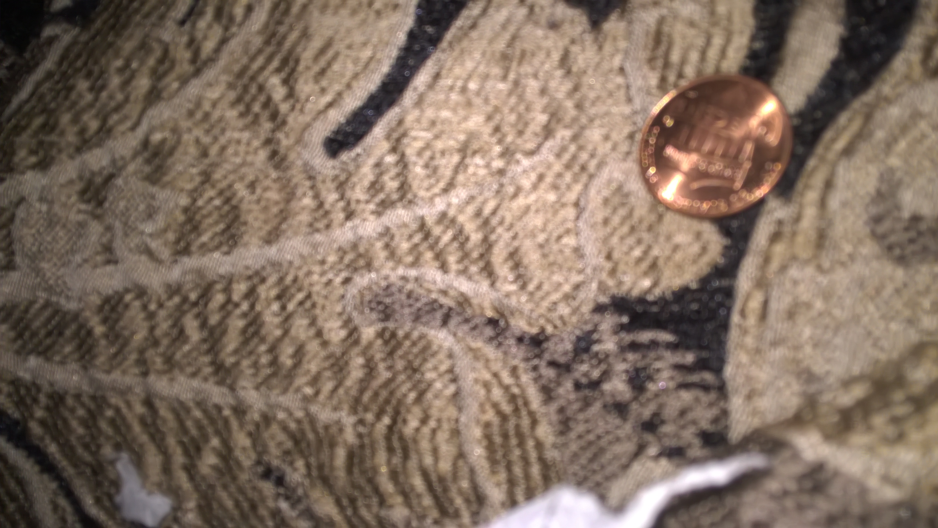Money