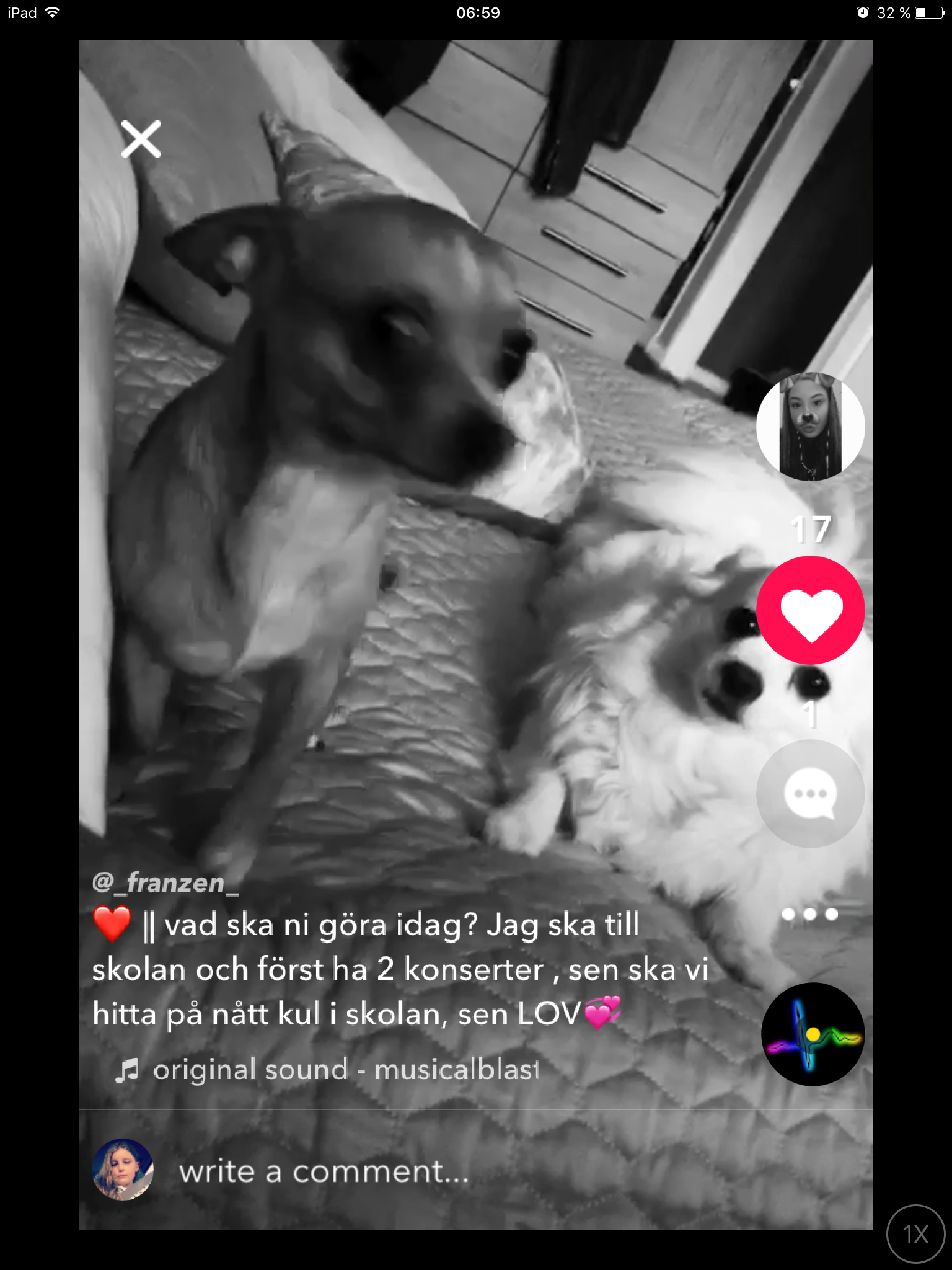 Gillar du djur