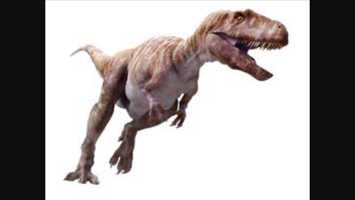 Dinosaur knowledge quiz