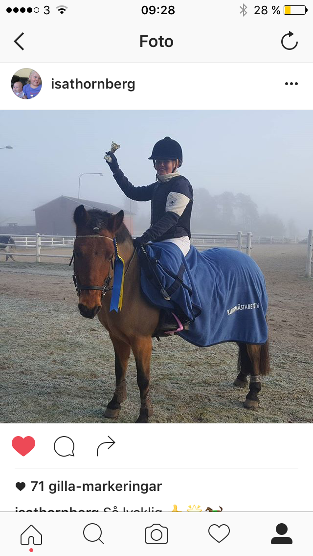 Vad vet du om hästar?❤️🐴
