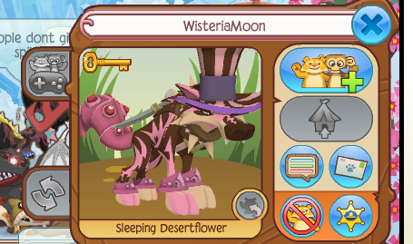 do you know animal jam