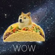 R U A TRUE TACO?
