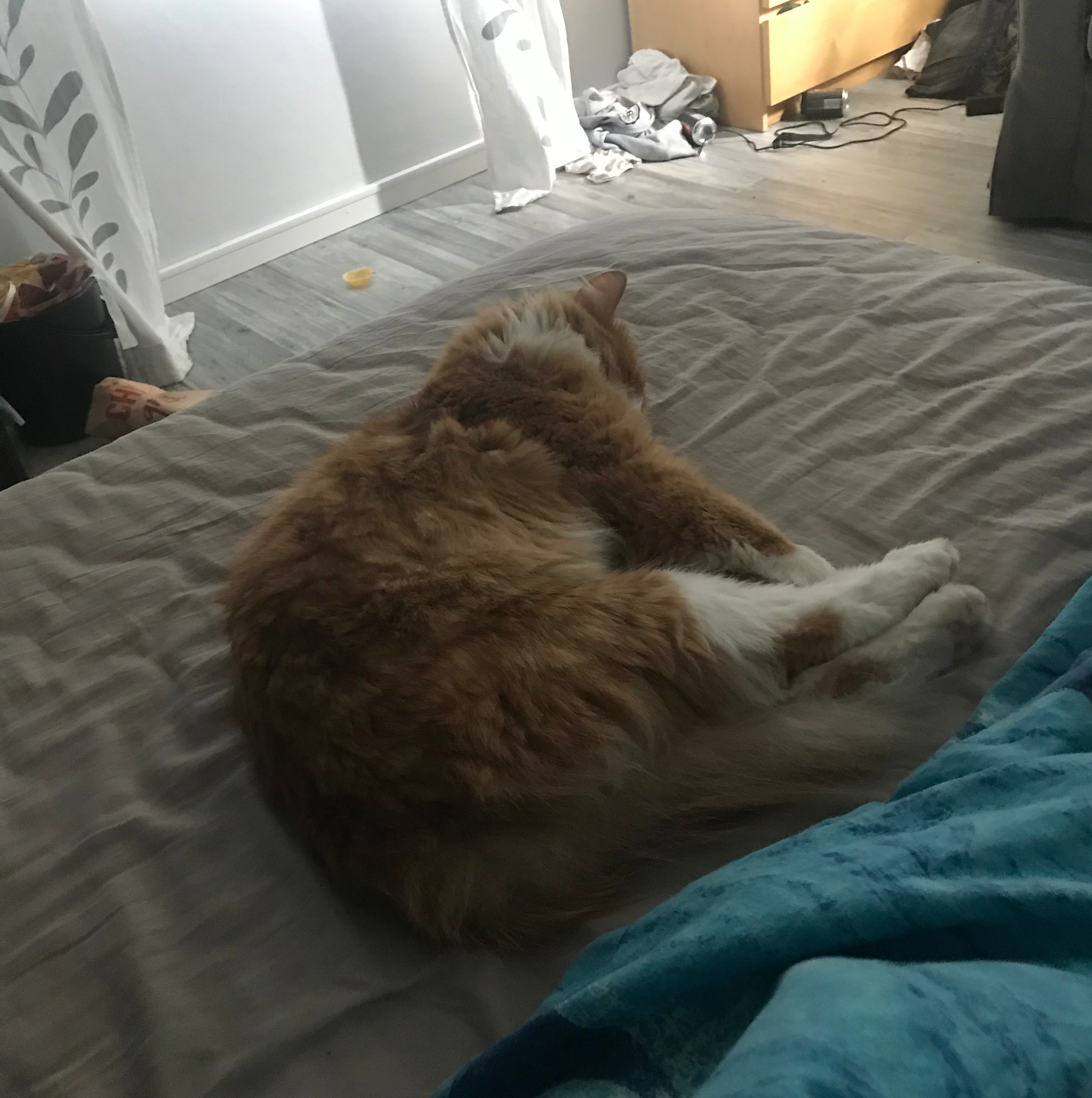 10 rätt och du får veta min hemlis