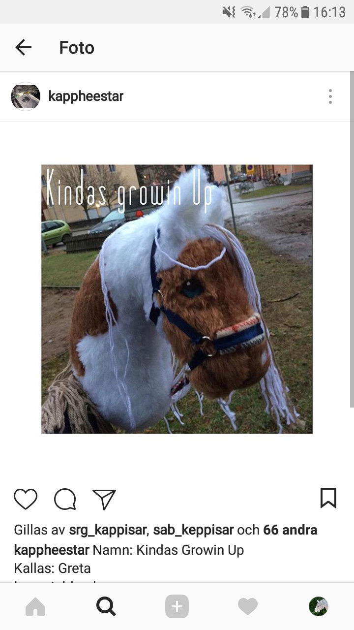 Käpphästar
