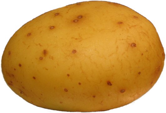 are you a potato??