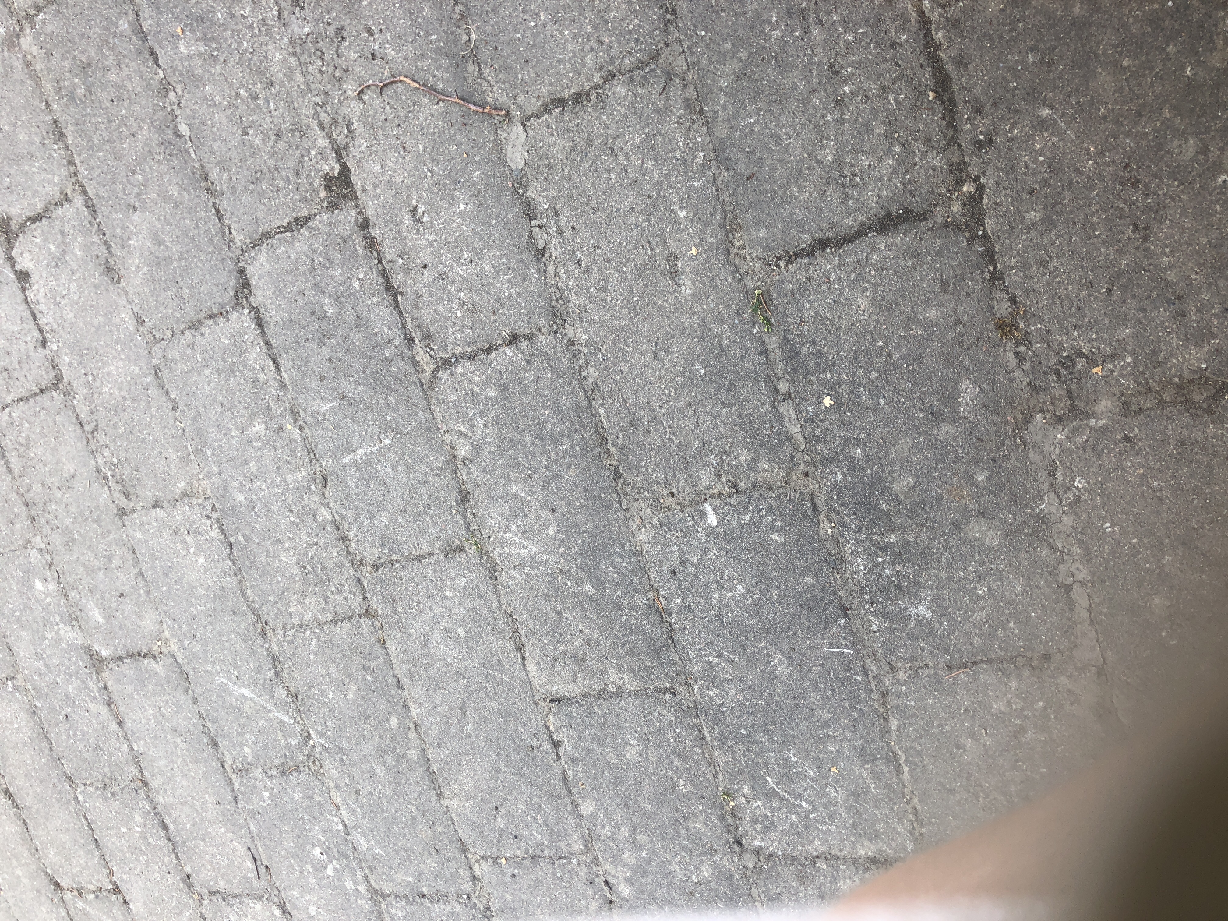 Är du smartare än mig