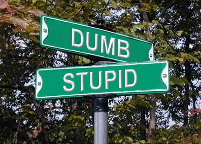 r u dumb?                               ÉÉÉÉÉÉÉÉÉÉÉÉÉÉÉÉÉÉÉ
