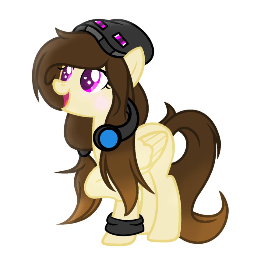 what mlp charecter are you