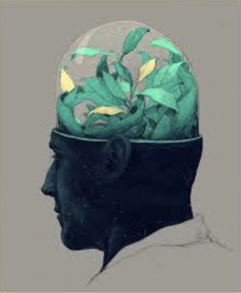 How Much  Info do you Know