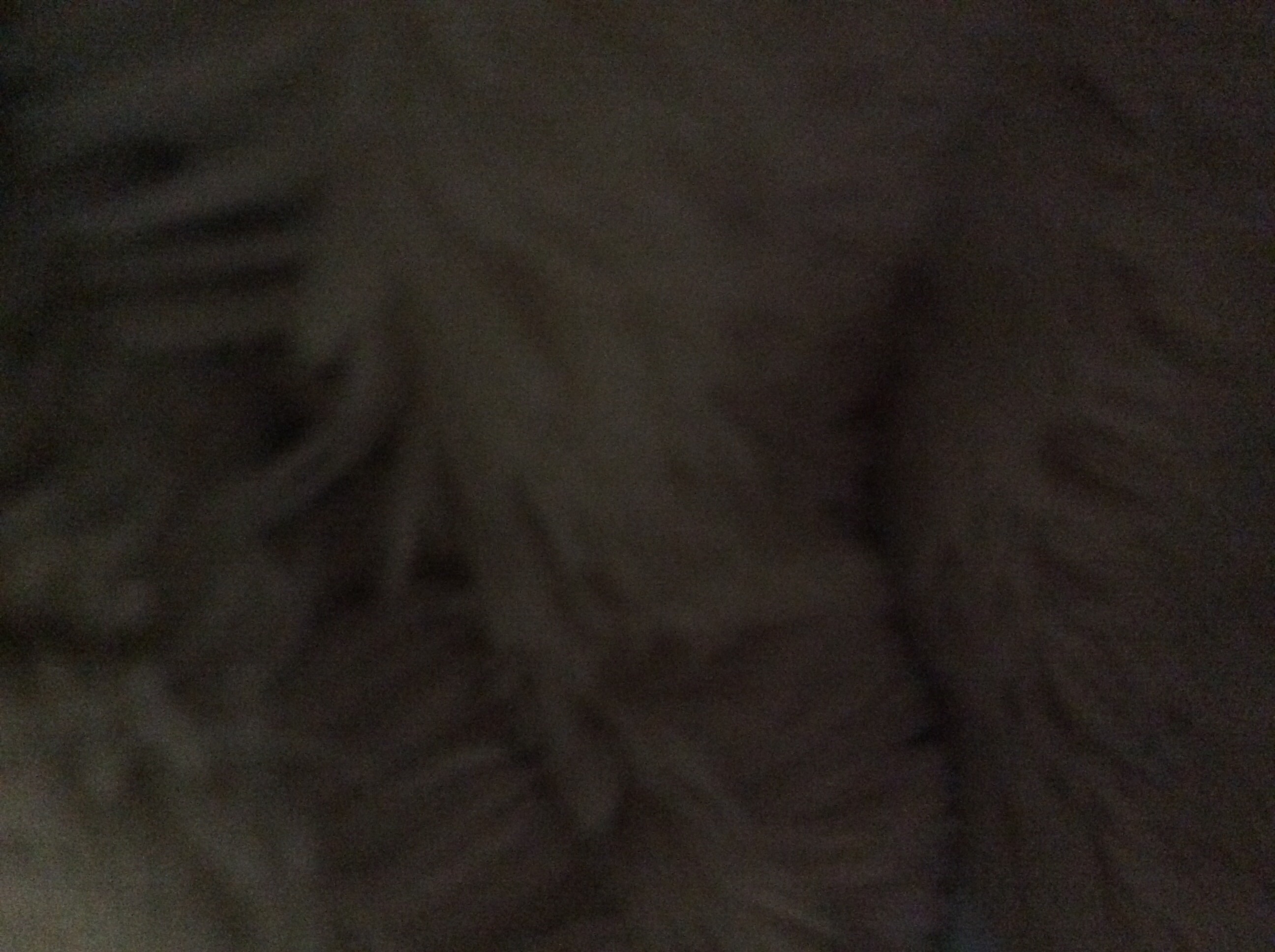 Holla