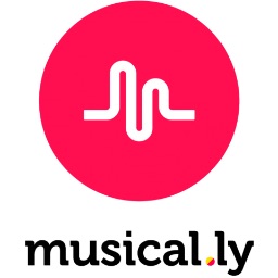 Are You a good Musically muser?