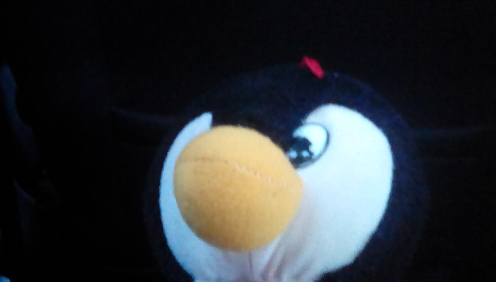 Are you a penguin