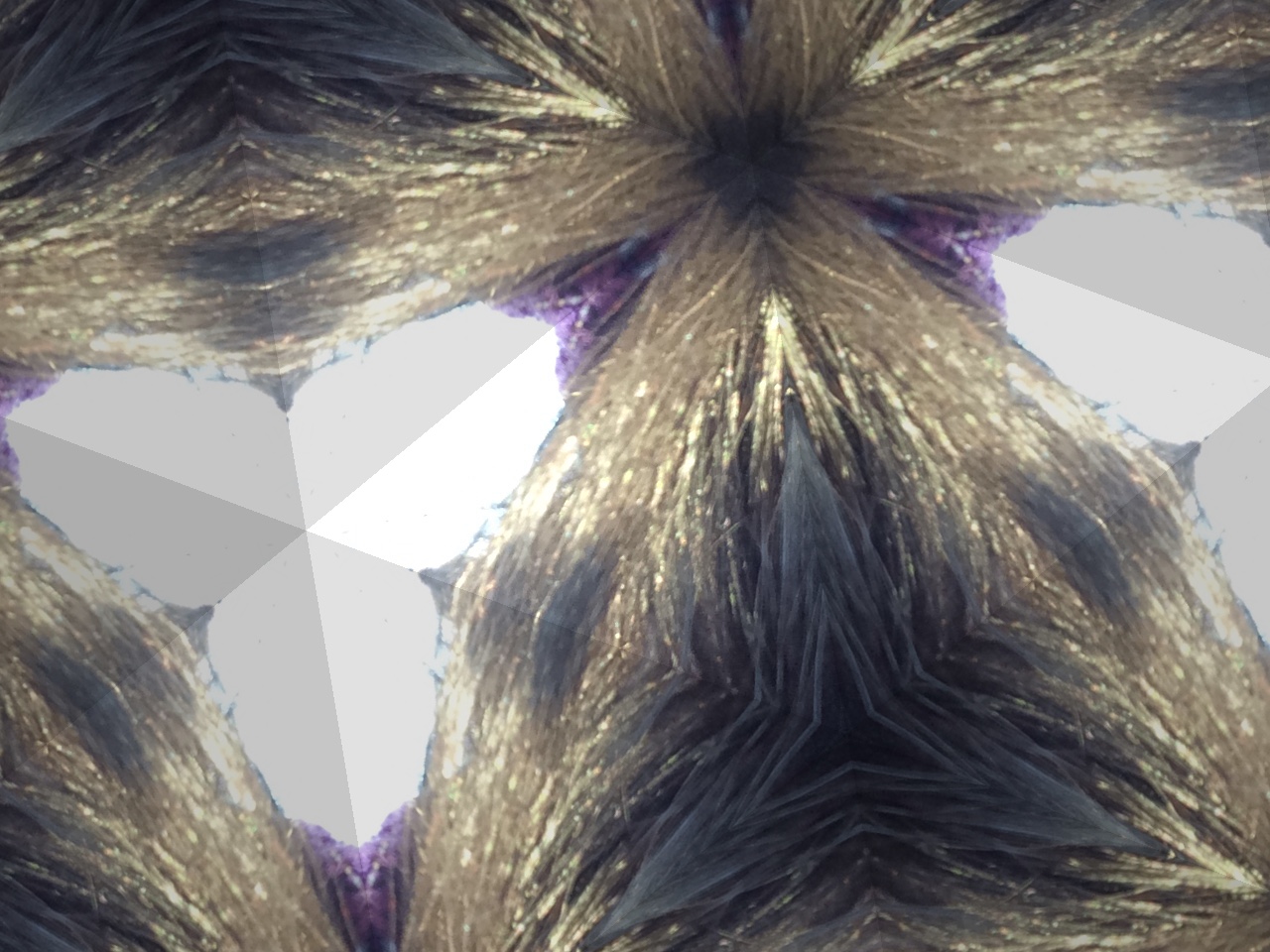 Who know Katie better