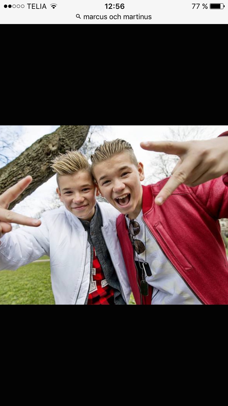 hur mycket vet du om Marcus och martinus