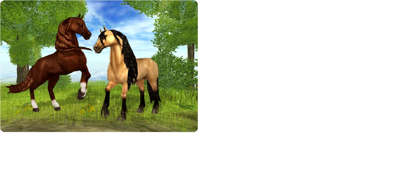 which animal are you