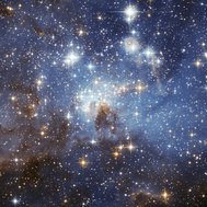 What star can you date?