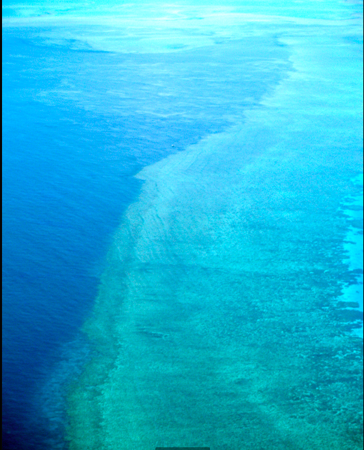 The Great Barrier Reef 