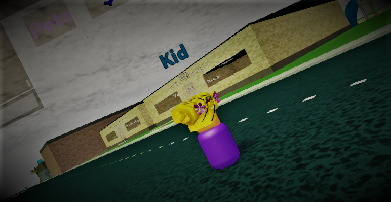 ROBLOX QUIZ