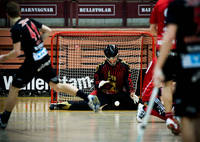innebandy :)