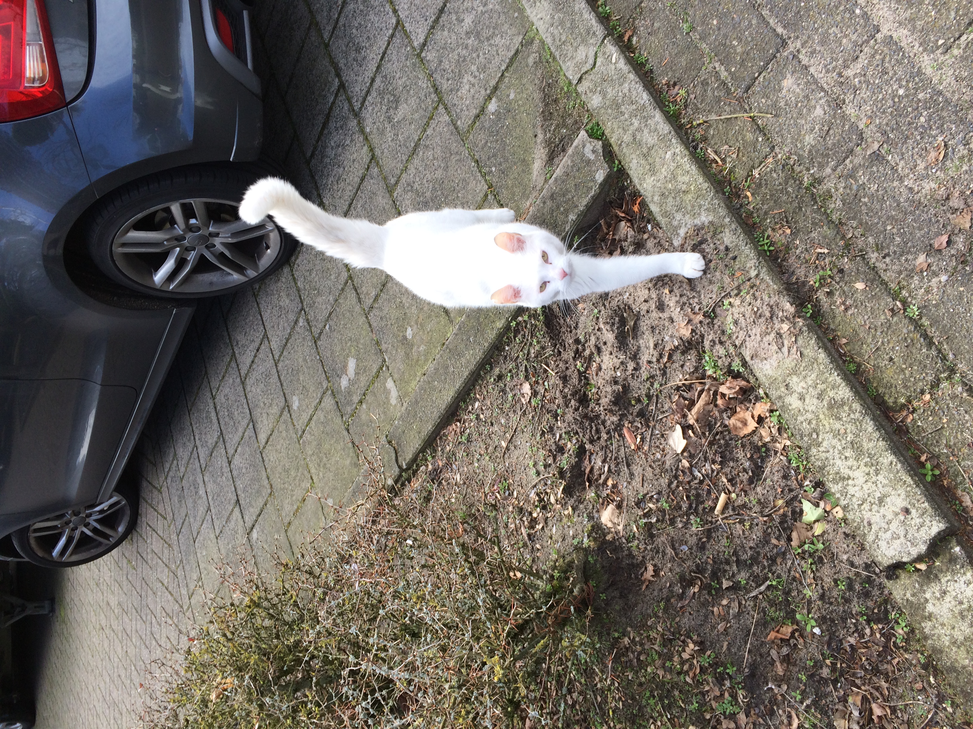 Hoe goed ken jij mij