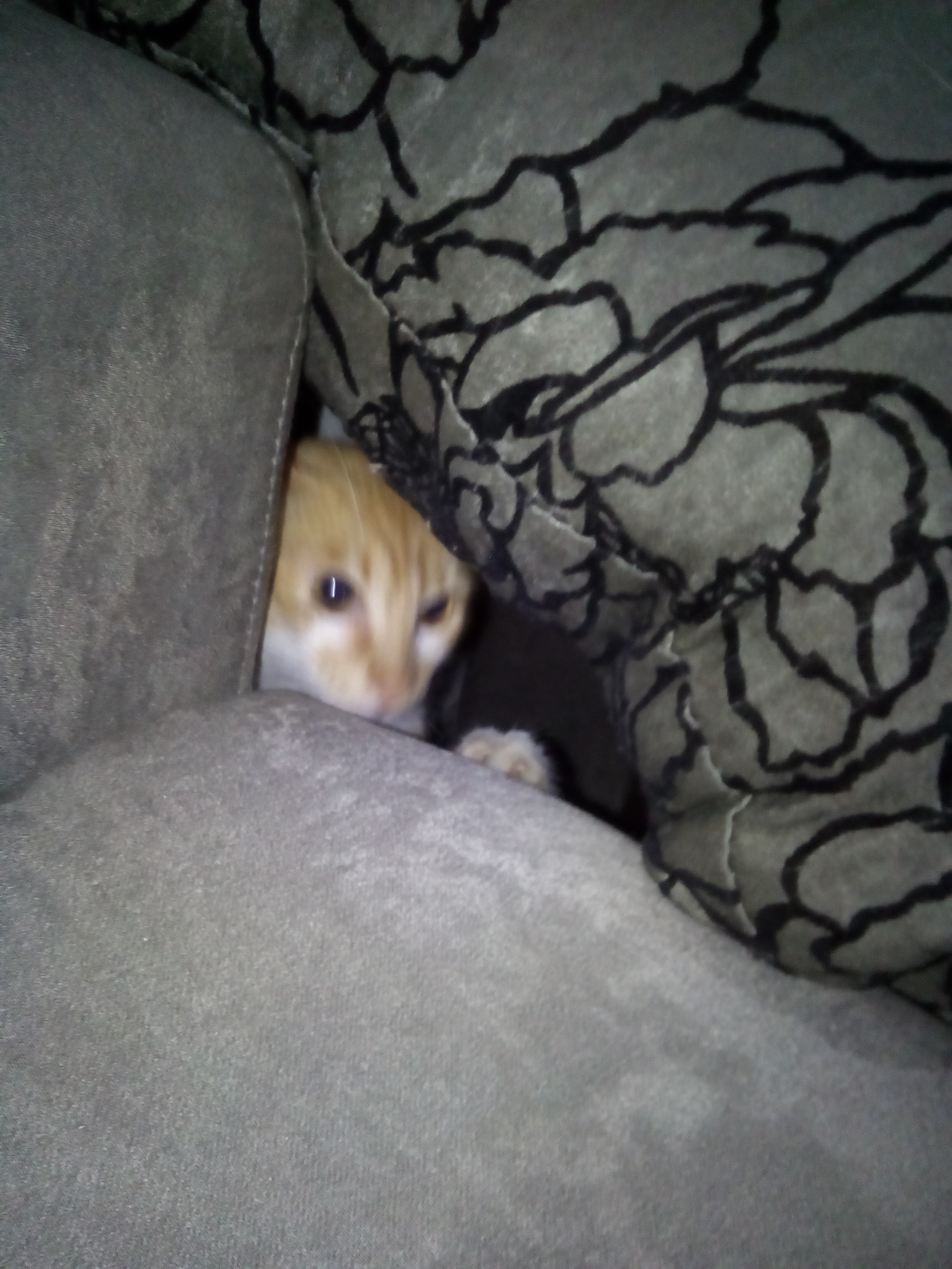 Eduardo