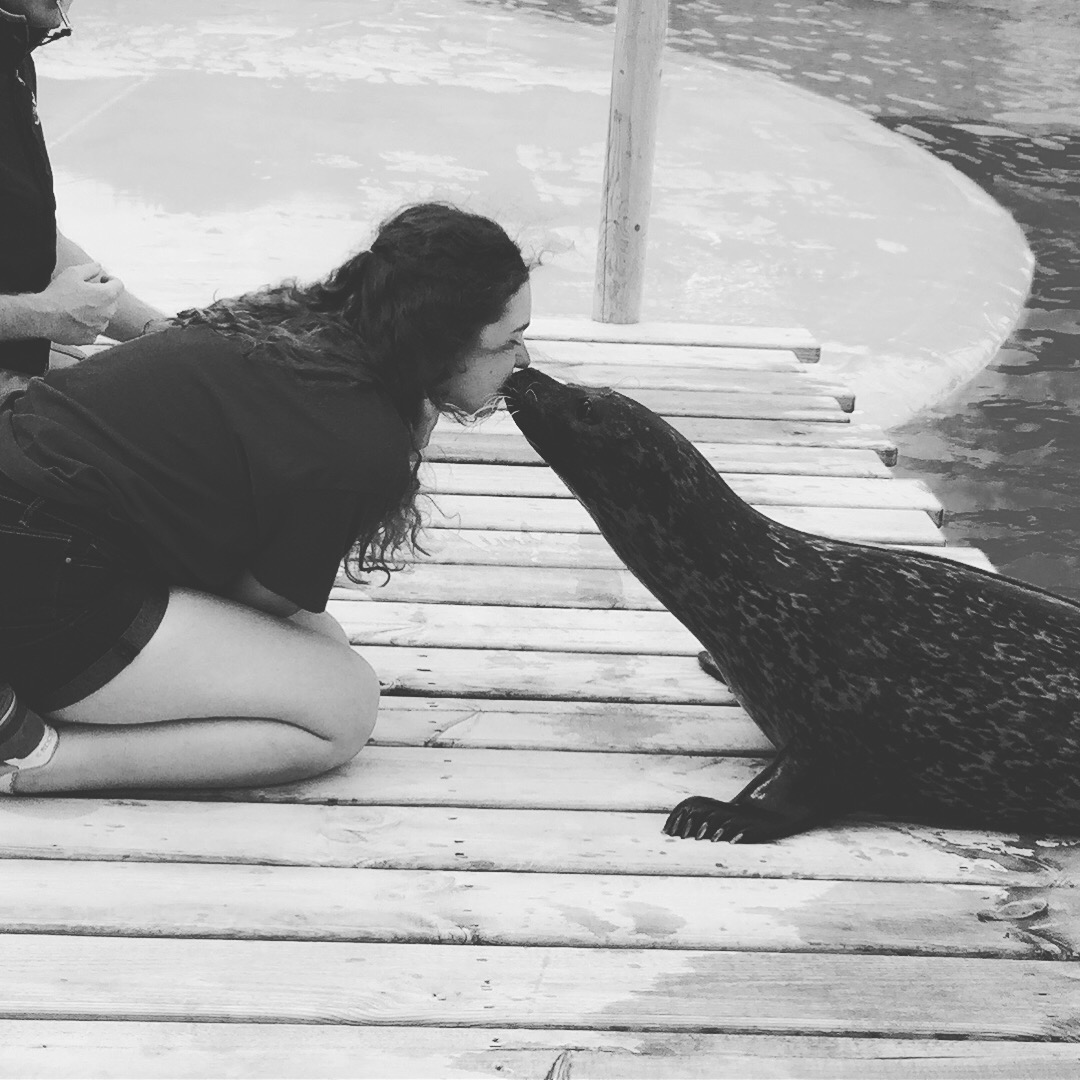 Could u be an animal trainer